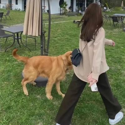 天伦